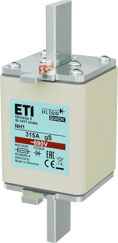 *NH1 gS 250A/690V