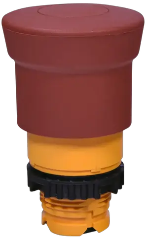 NSE-PBM-P-R