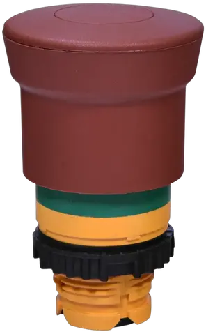 NSE-PBM-P-RG